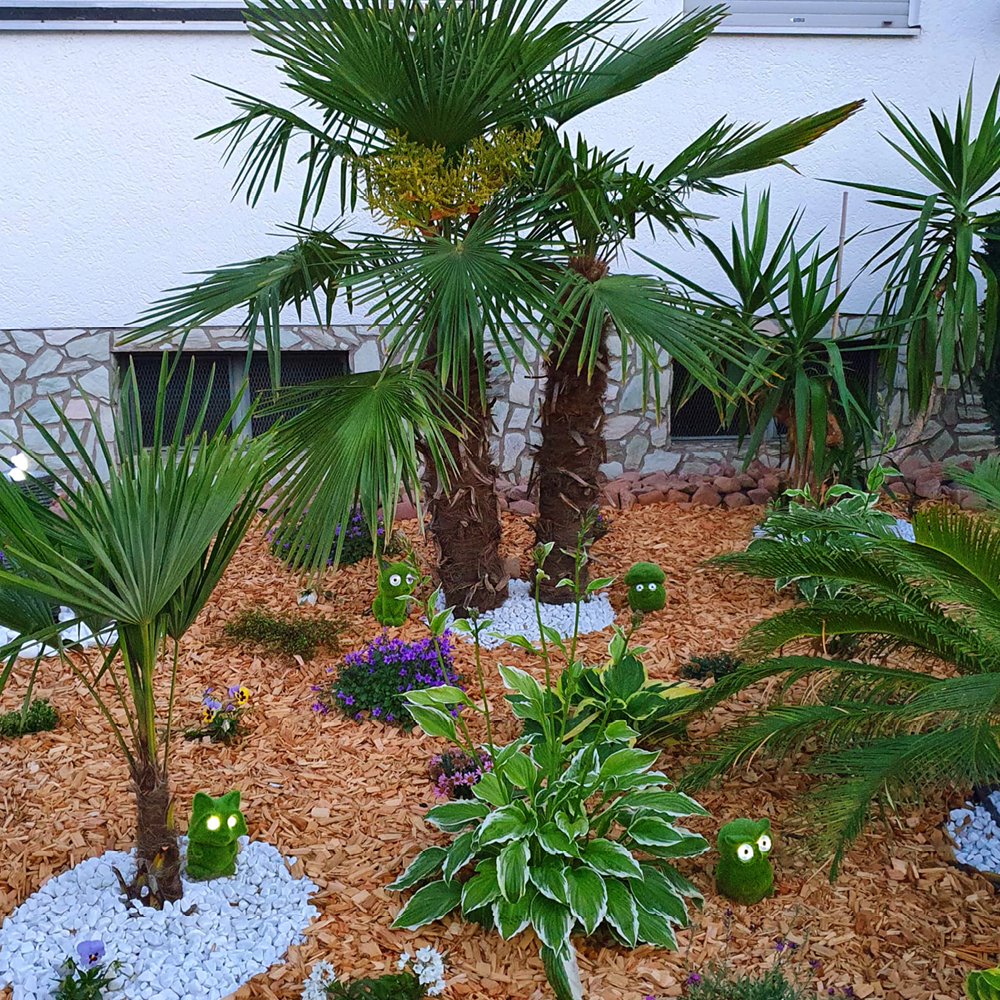 Palmengarten von PRISCO Gartenbau