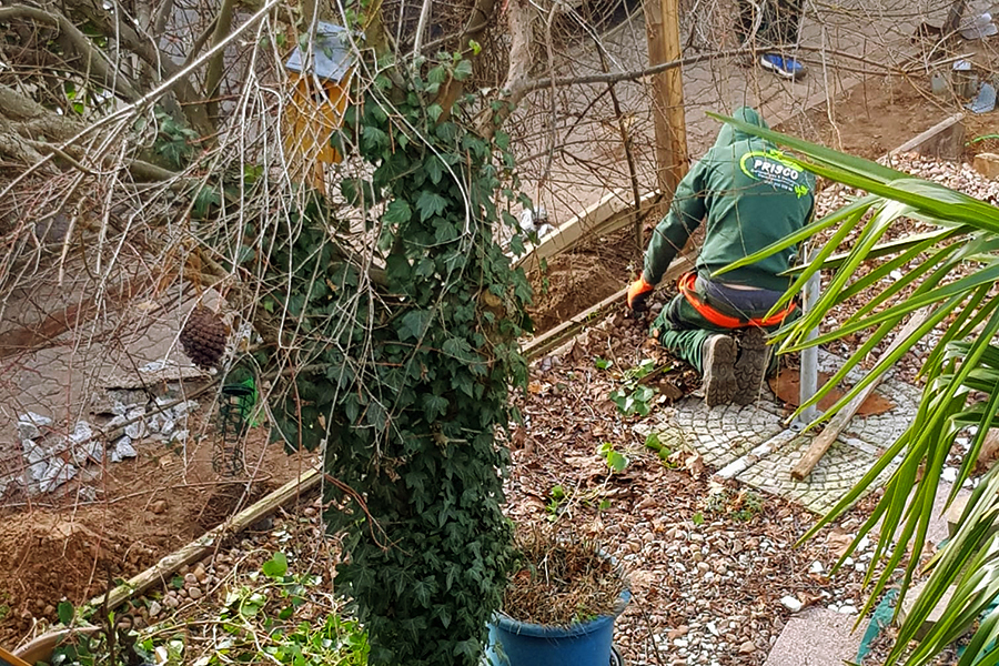 Setzen der Rabattensteine durch PRISCO Gartenbau
