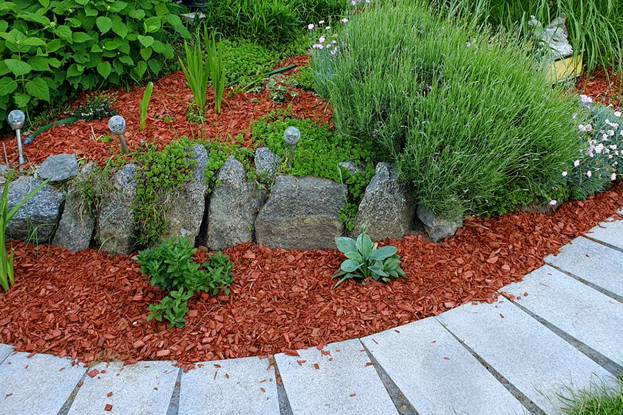 Beet-Gestaltung von PRISCO Gartenbau