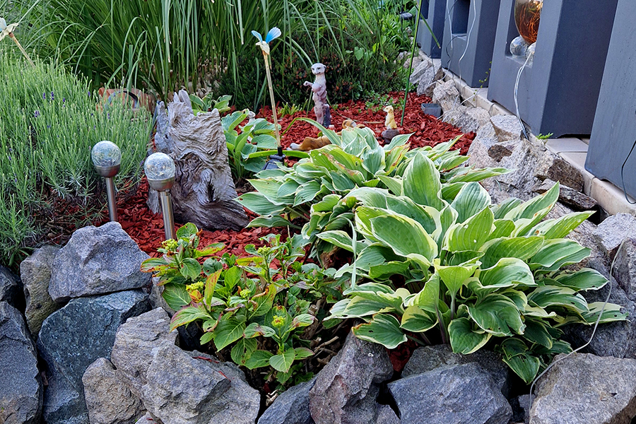 Neubepflanzung von PRISCO Gartenbau