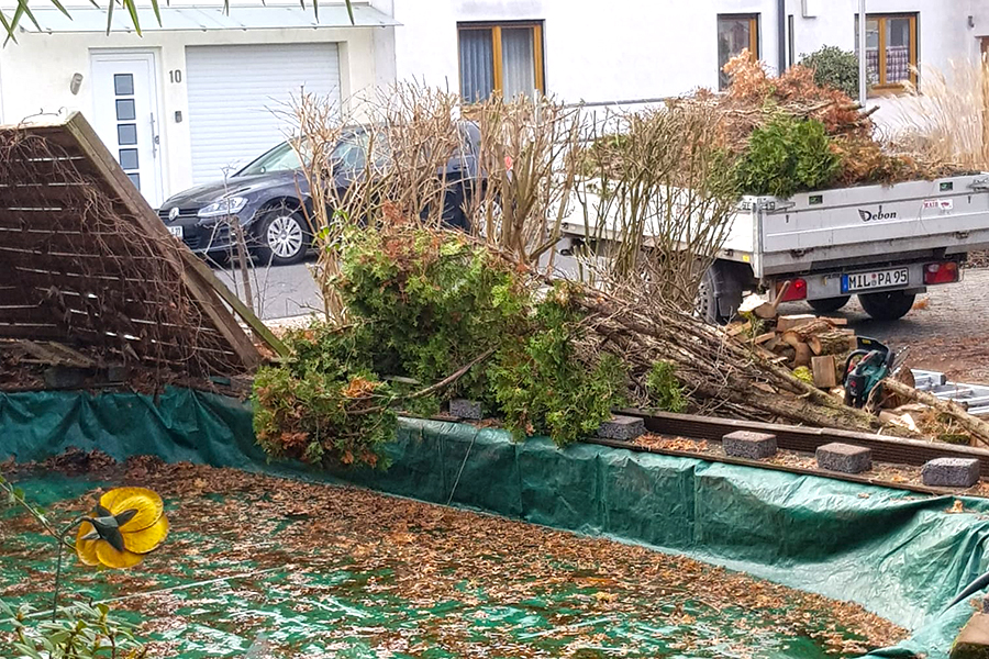 Auslichten des Pflanzen-Altbestands durch PRISCO Gartenbau