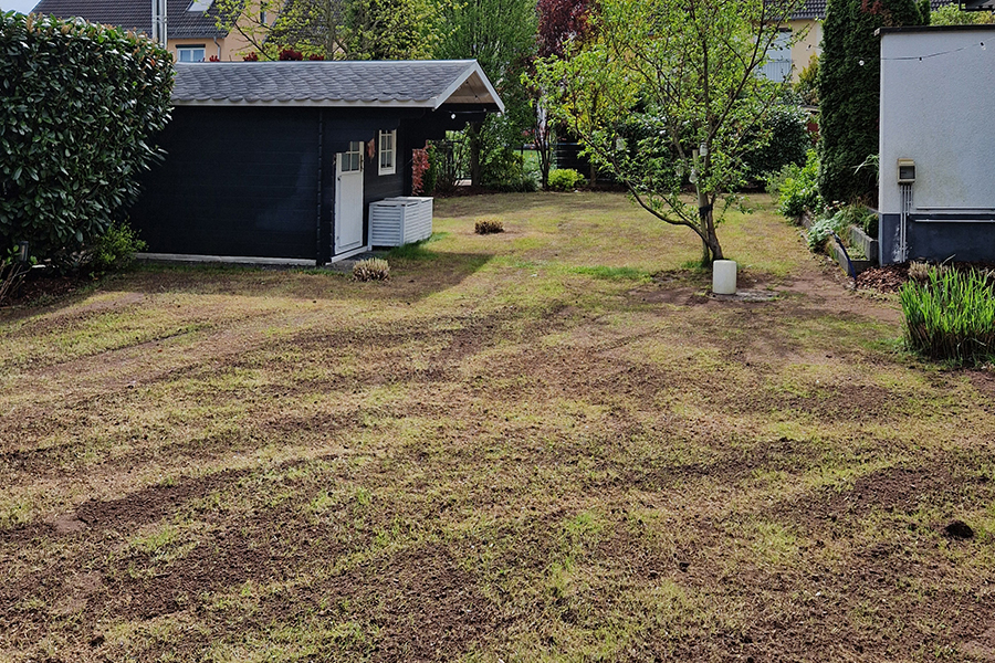 Rasen Vertikultieren durch PRISCO Gartenbau