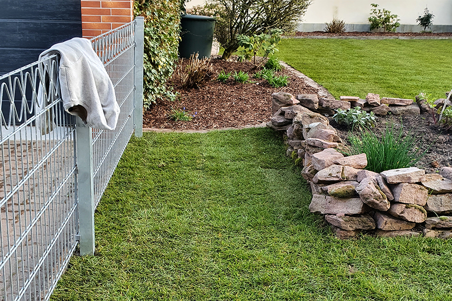 Rasen restauriert von PRISCO Gartenbau