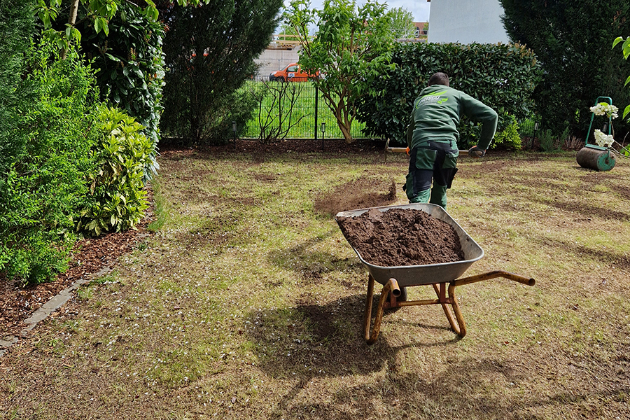 Rasenaussaat durch PRISCO Gartenbau