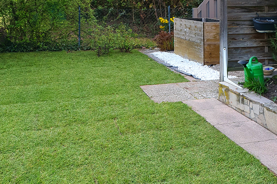 Neuer Rasen von PRISCO Gartenbau