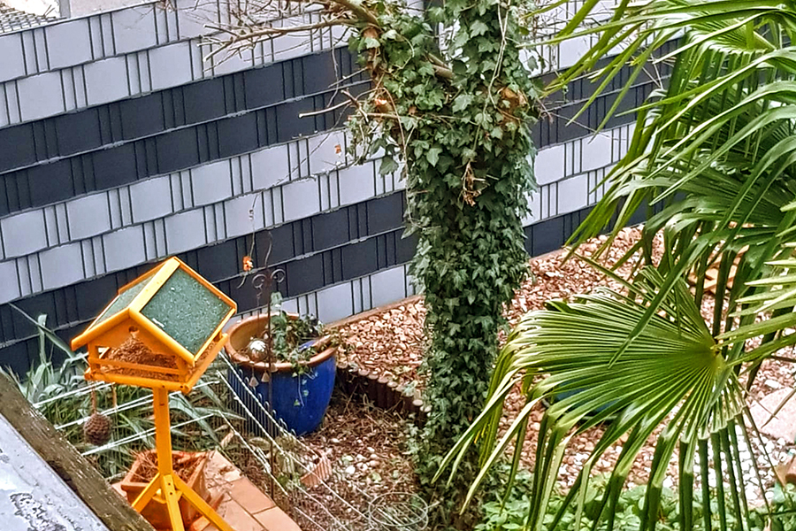 Neuer Zaun mit Sichtschutz von PRISCO Gartenbau