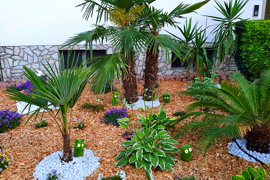 Palmengarten von PRISCO Gartenbau