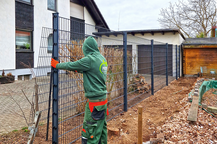 Setzen des neuen Gartenzauns durch PRISCO Gartenbau