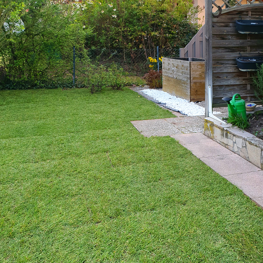 Rollrasen von PRISCO Gartenbau